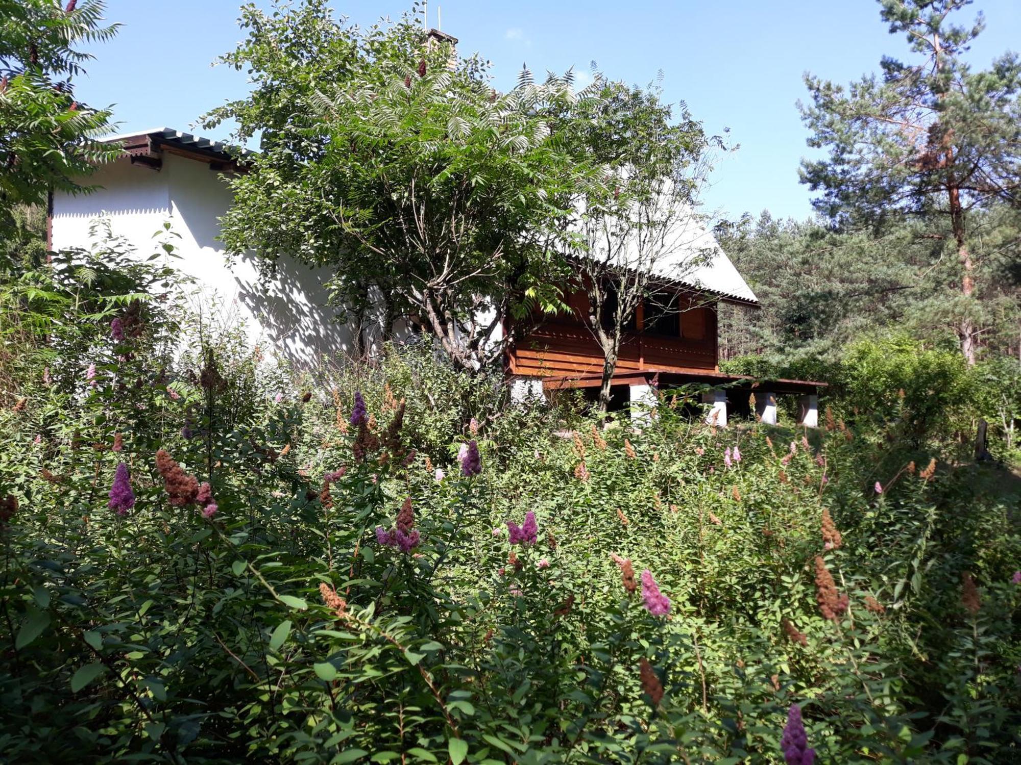 Lesna Polana Villa Gorzno  Exterior photo